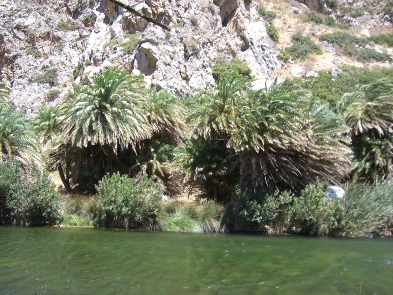 CIMG8713 Preveli